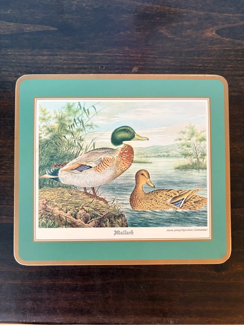 Set of 4 Vintage Pimpernel Waterfowl Print Cork Mats England